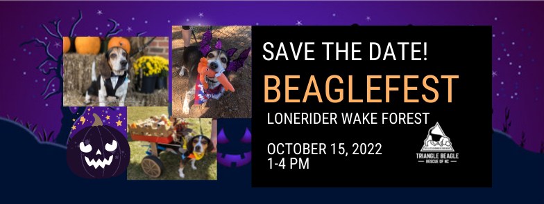 Beaglefest 2022 at Lonerider Wake Forest