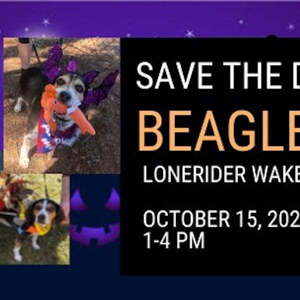 Beaglefest 2022 at Lonerider Wake Forest