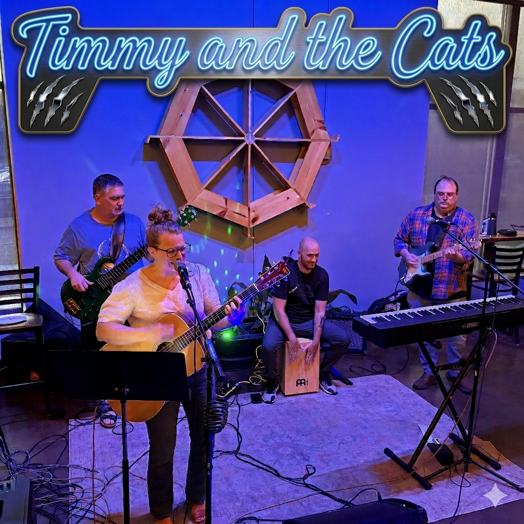 Timmy And The Cats Band