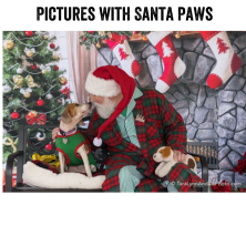 Triangle Beagle Rescue – Pictures with Santa Paws