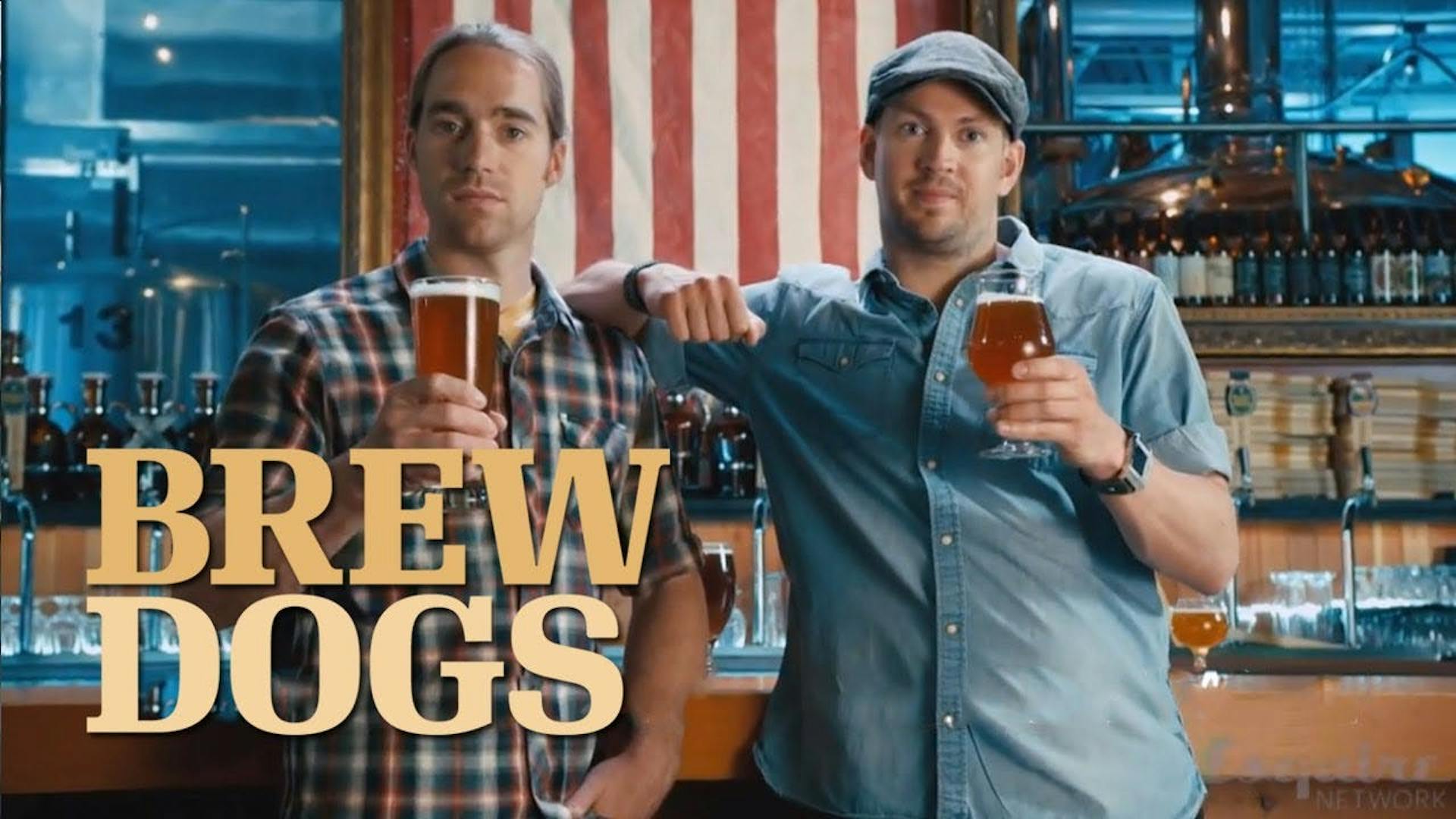 brewdogs