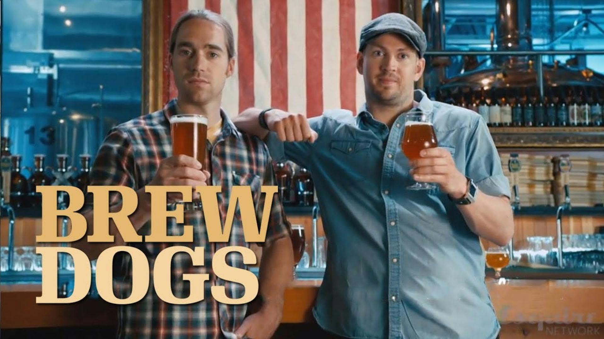 brewdogs brewdogs