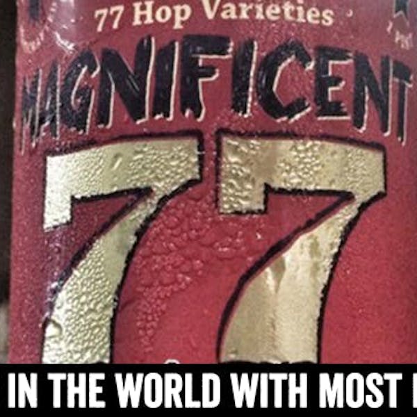 The Quenching Peregrination of Magnificent 77 (Hops Abound)