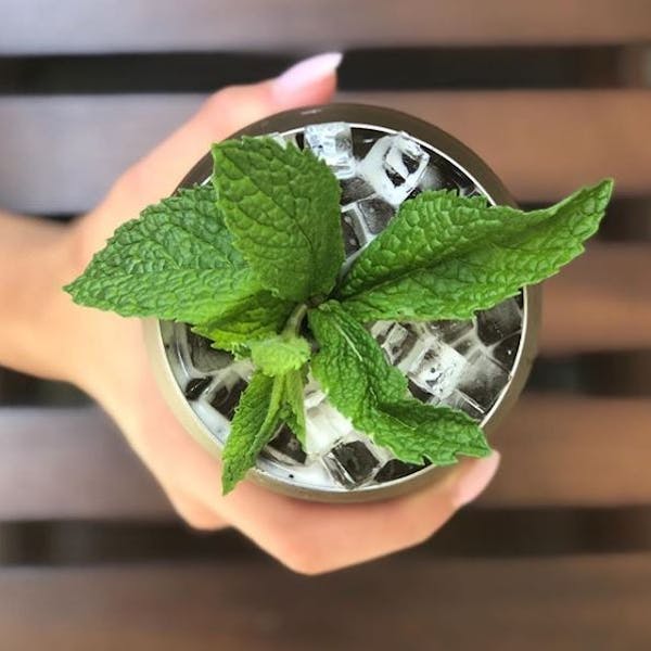 Mint Julep