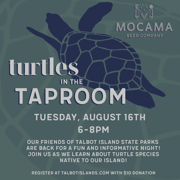 Turtles in the Taproom