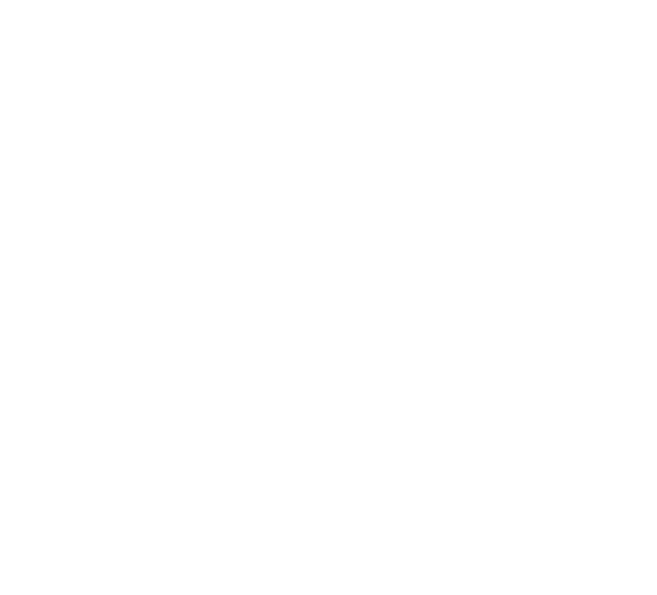 BeerPassport-Logo-trans