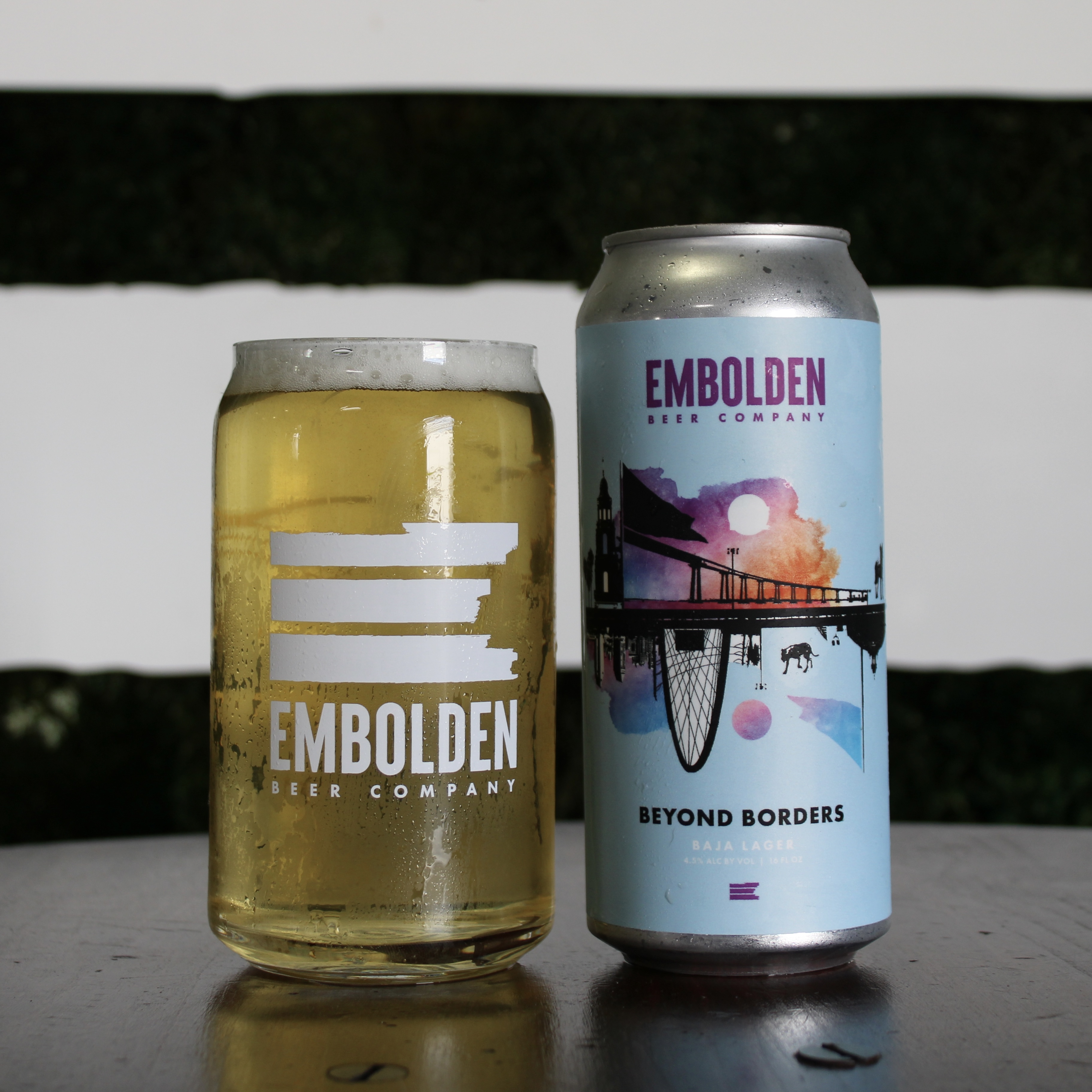 Image or graphic for Beyond Borders