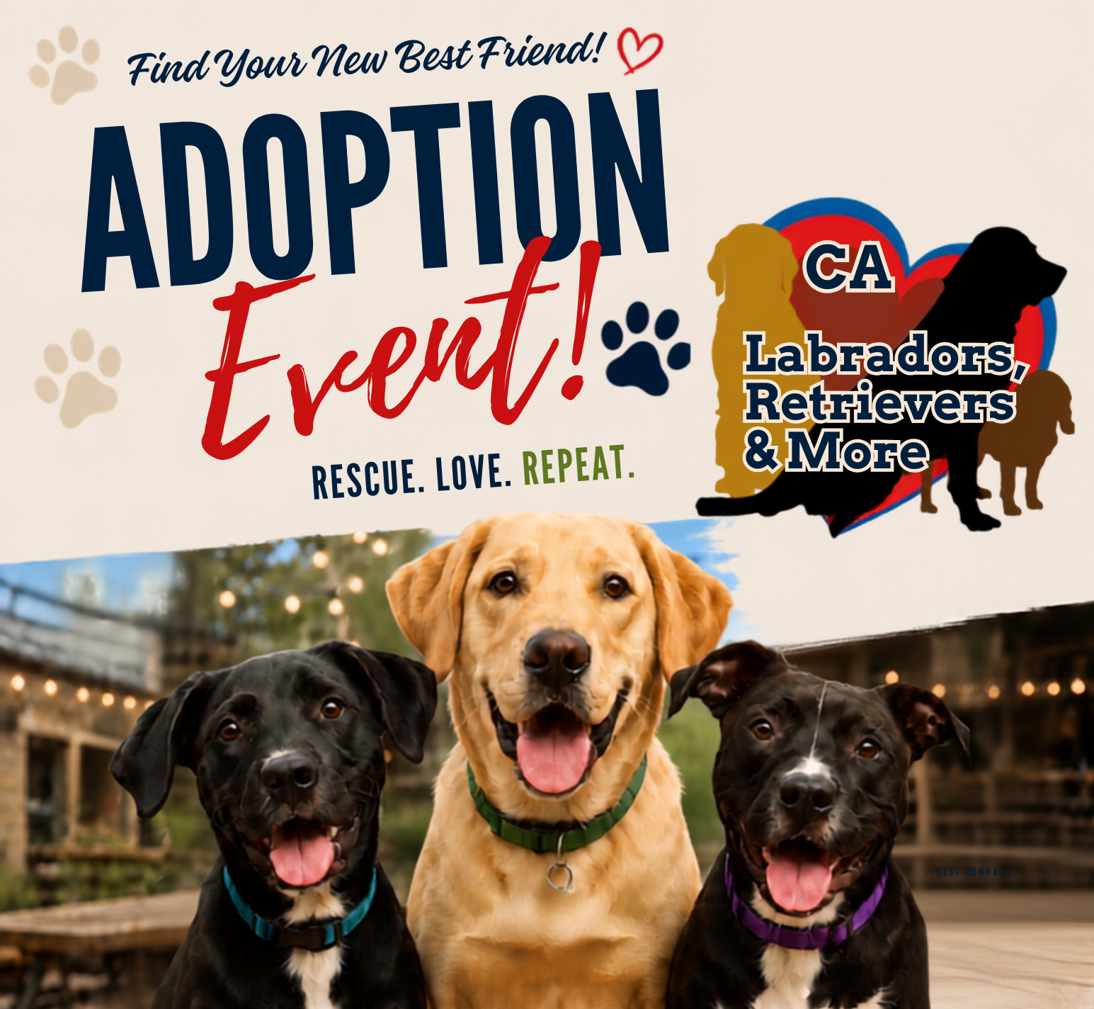 Dog Adoption Event