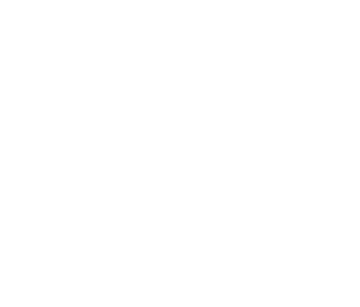 newmotion-logo-full-white
