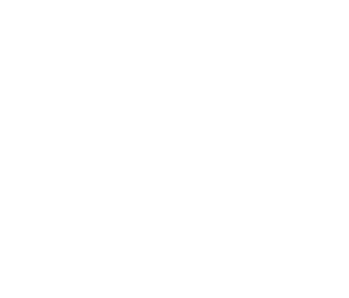 newmotion-logo-full-white