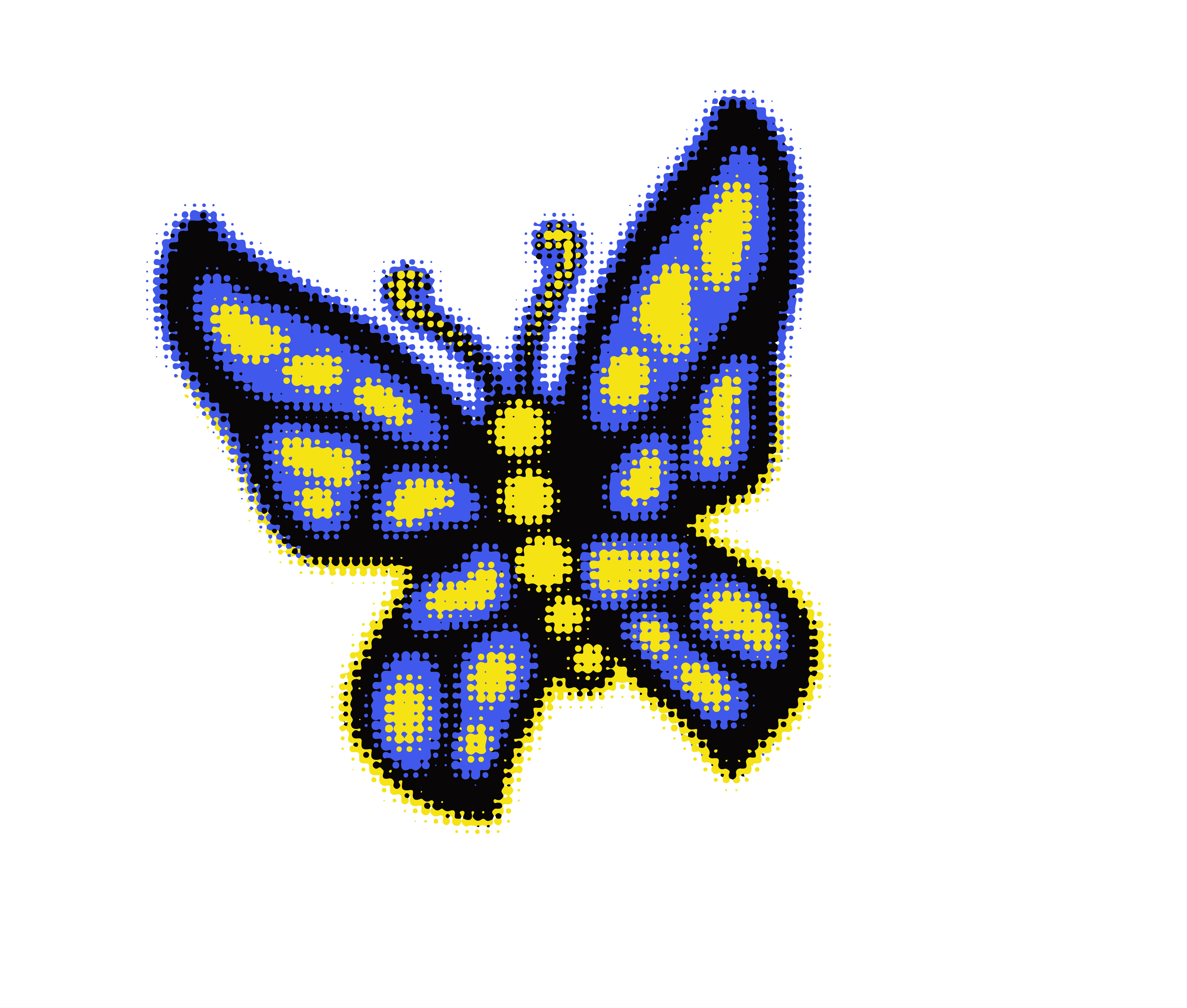OnAPLainBrewingbutterfly2024notext