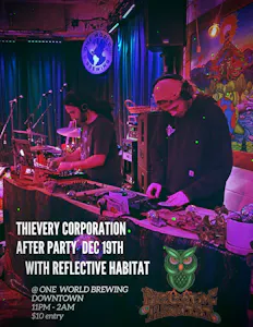 thievery corporation after party