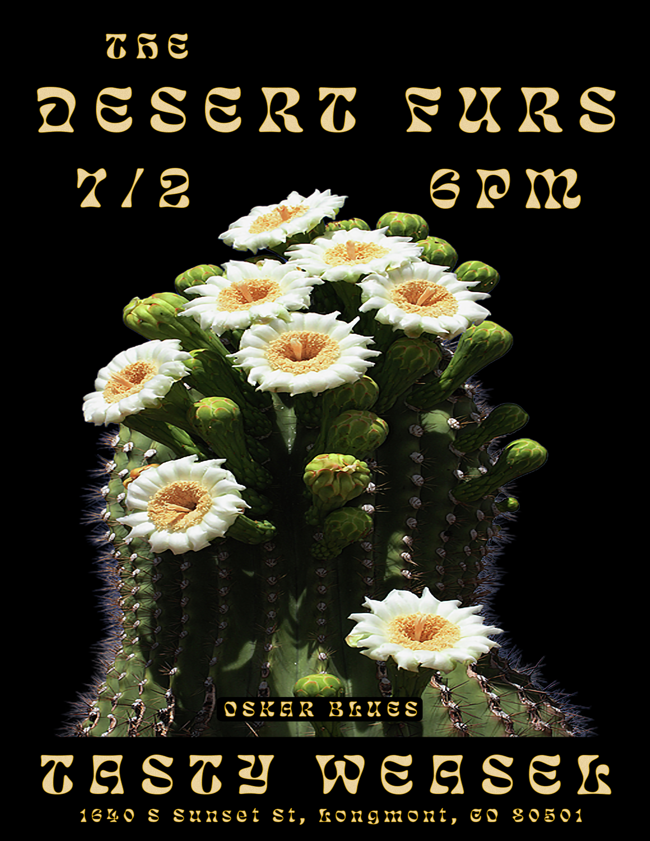 Live Music – Desert Furs
