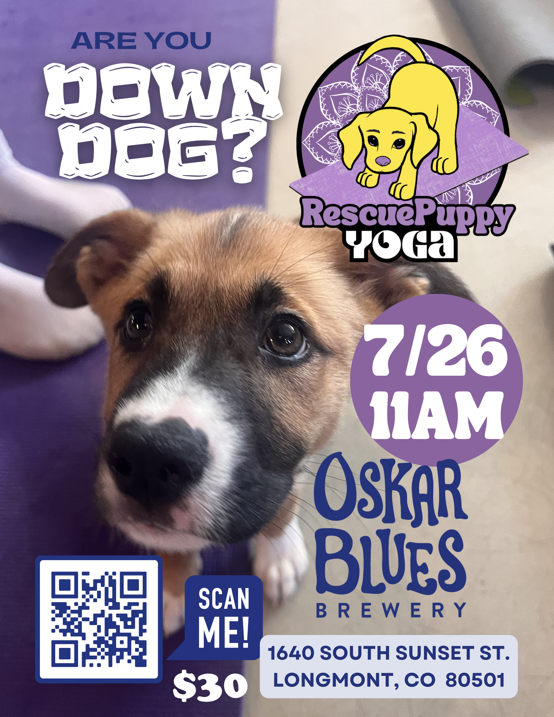 Puppy Yoga & Adoption Event