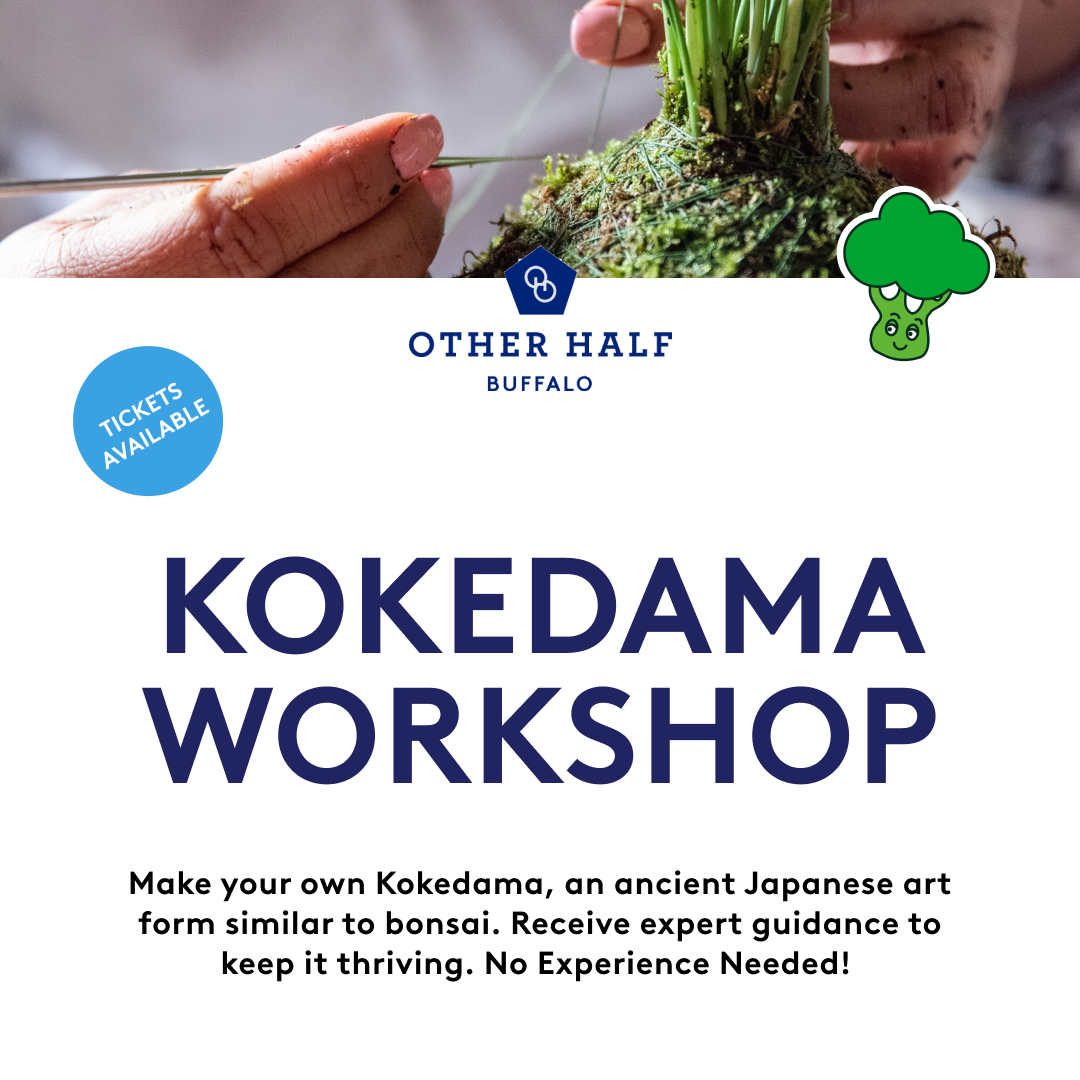 Kokedama Workshop fyler
