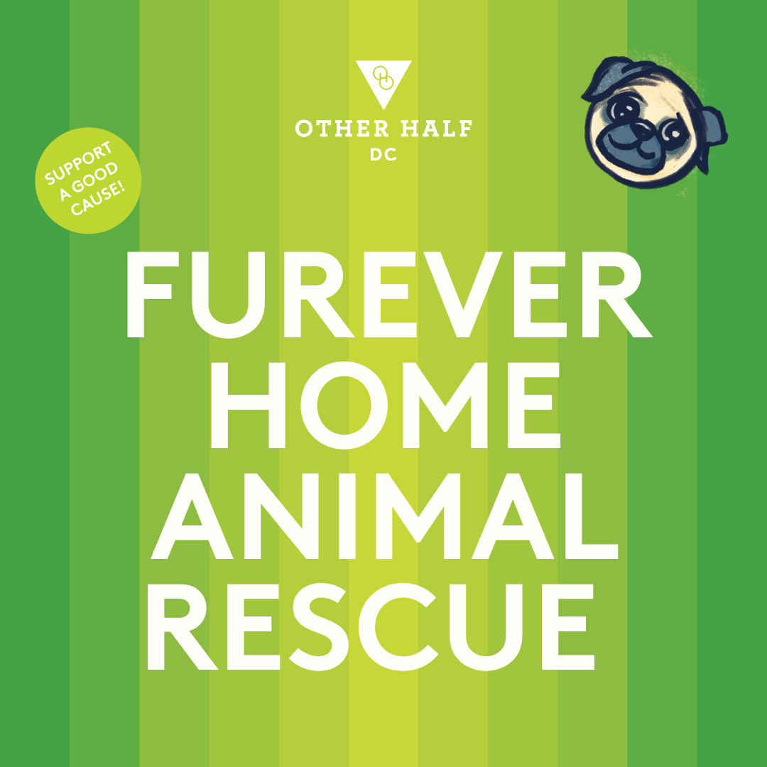 Furever Home Animal Rescue event flyer