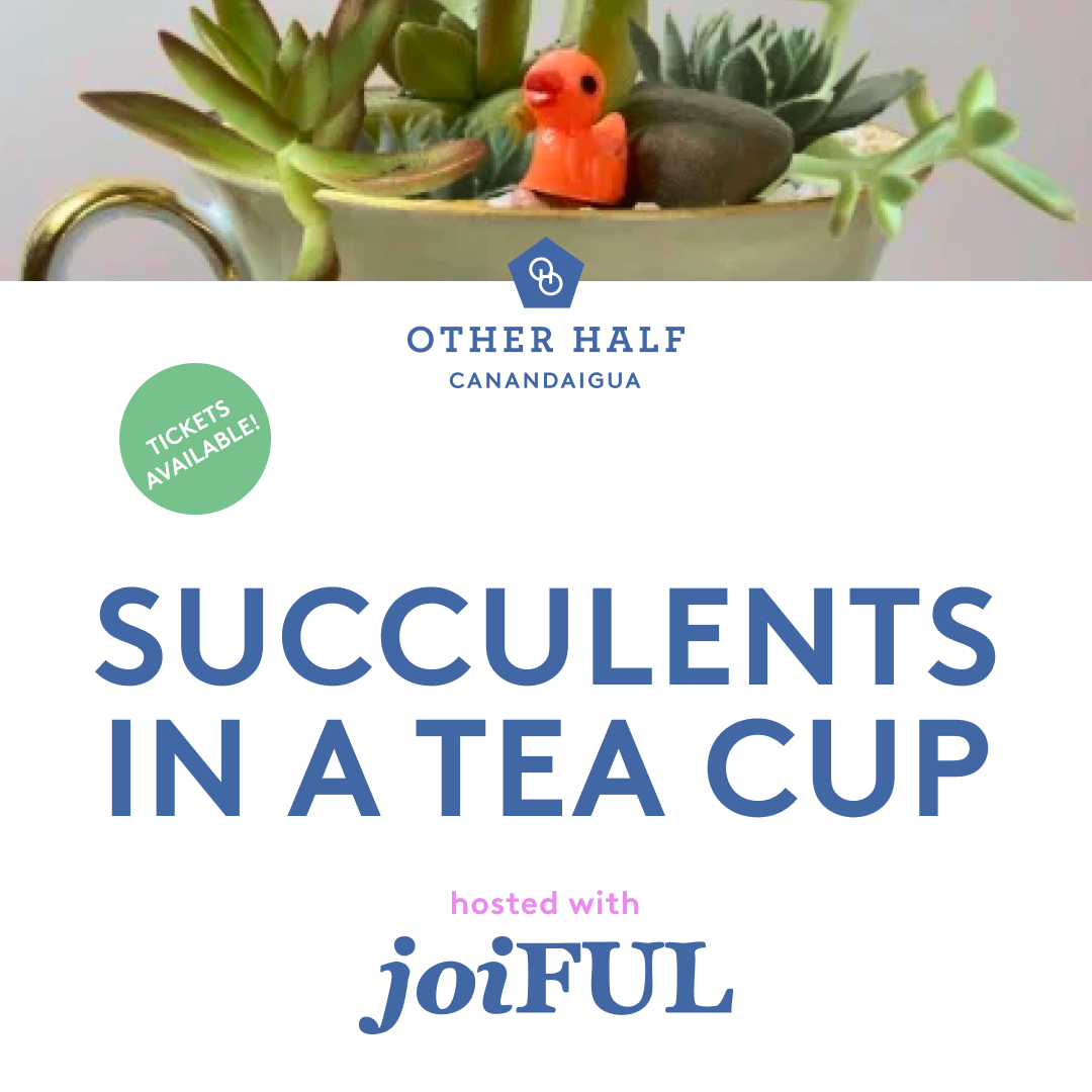 Succulents in a tea cup class flyer