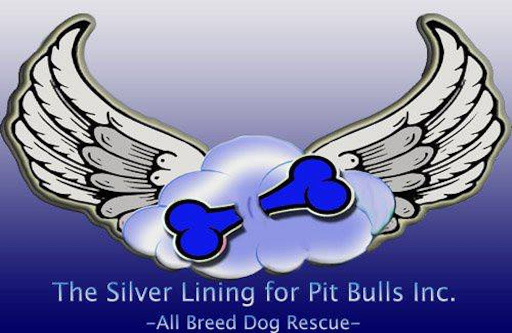 282558213_313346550977040_7507745350356773972_n silver lining graphic