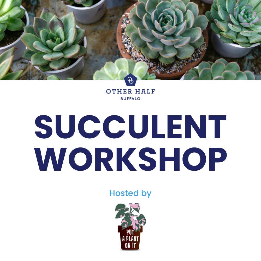 Succulent Work shop flyer