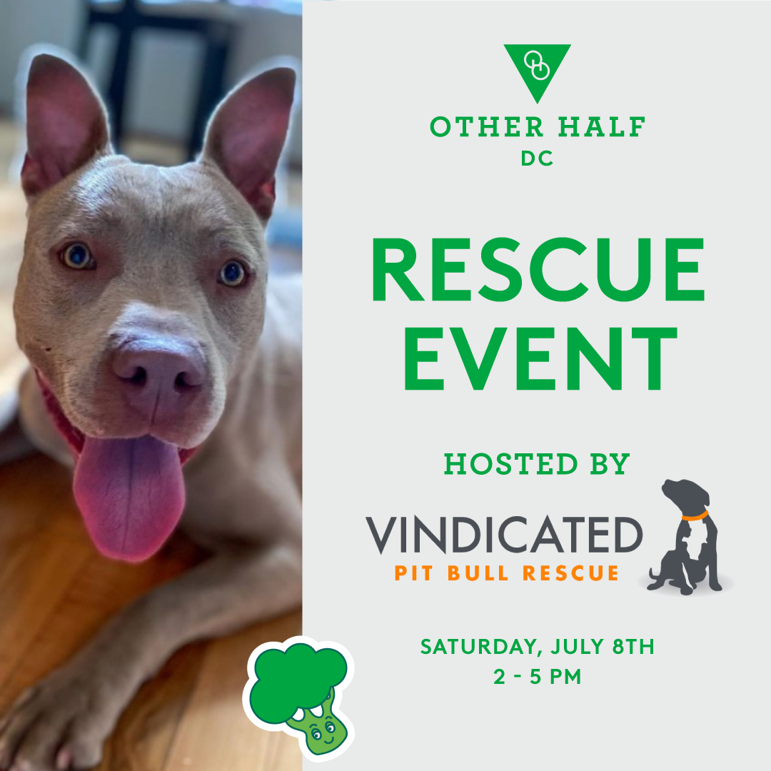 Vidicated Pits adoption event flyer