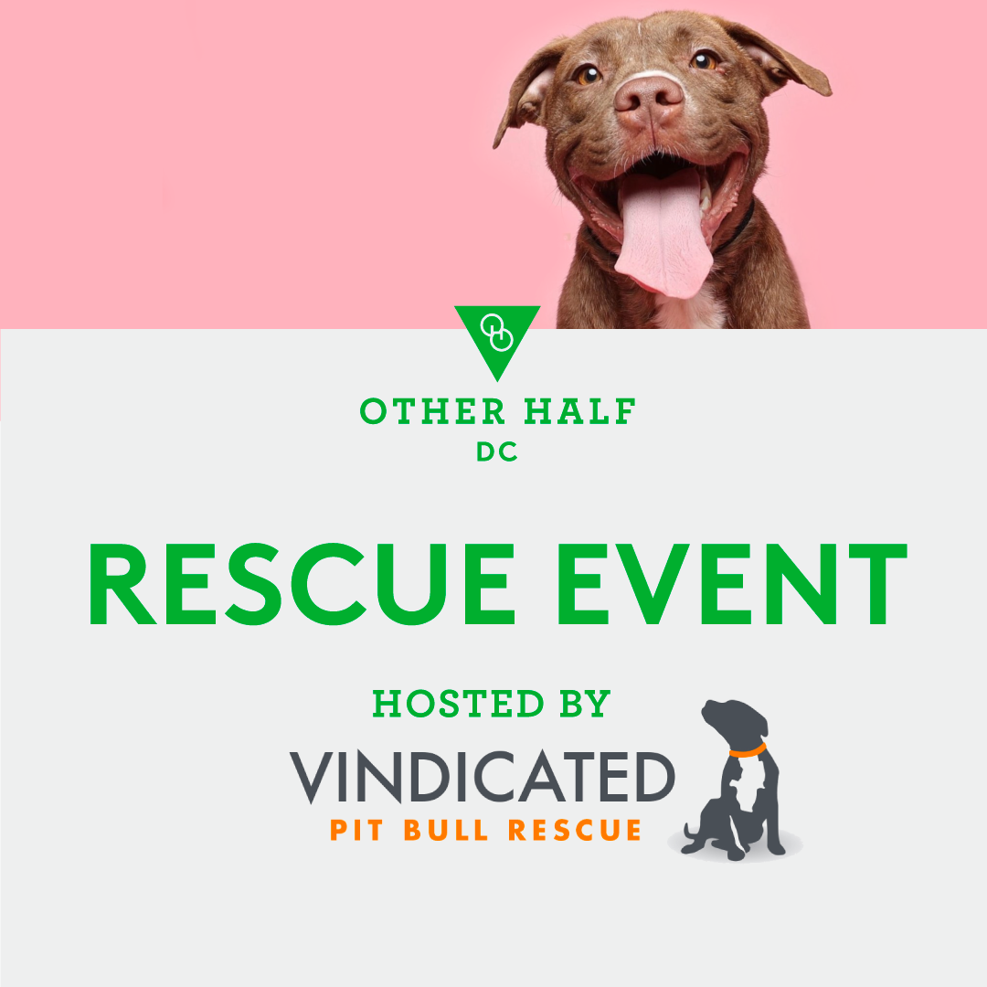 Vindicated Pits Adoption Event Flyer