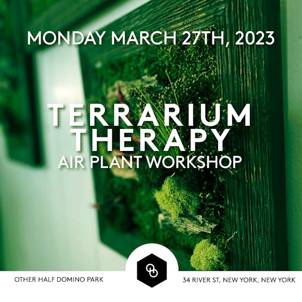 Terrarium Therapy- Air Plant Workshop