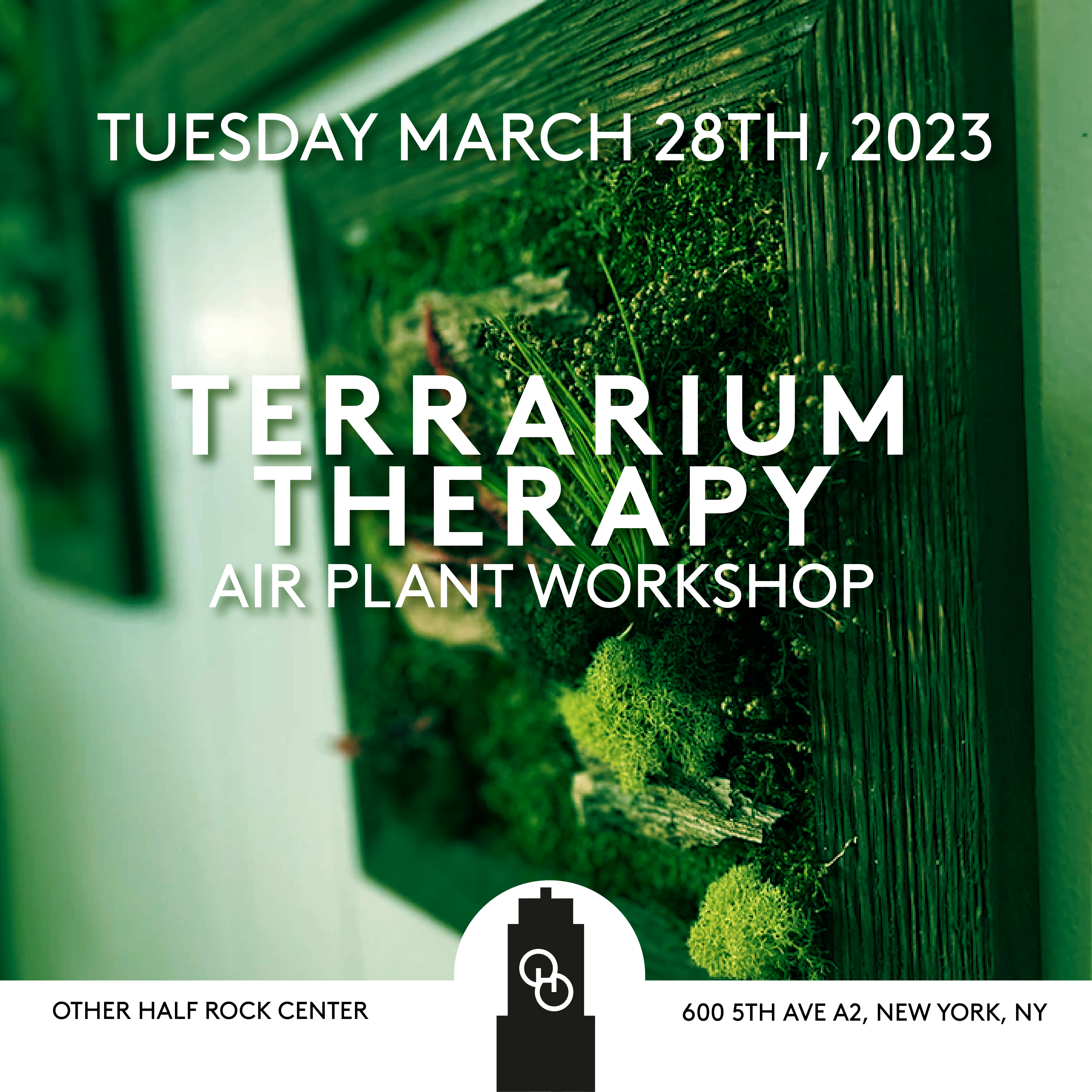 Terrarium Therapy Air Plant Other Half Brewing