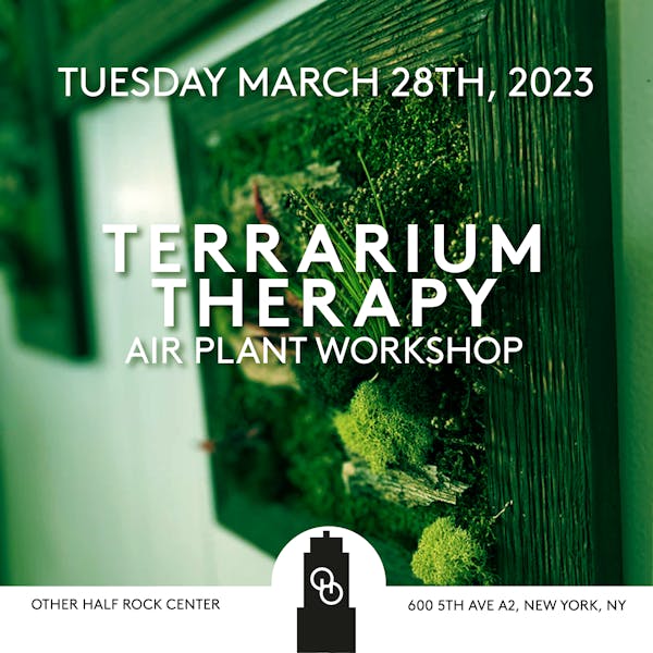 Terrarium Therapy – Air Plant Workshop