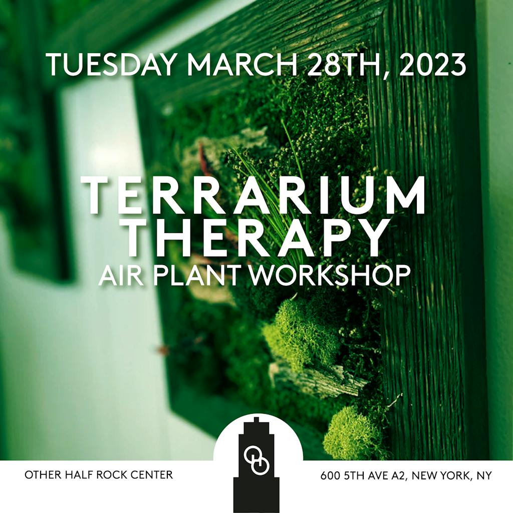 terrarium therapy flyer