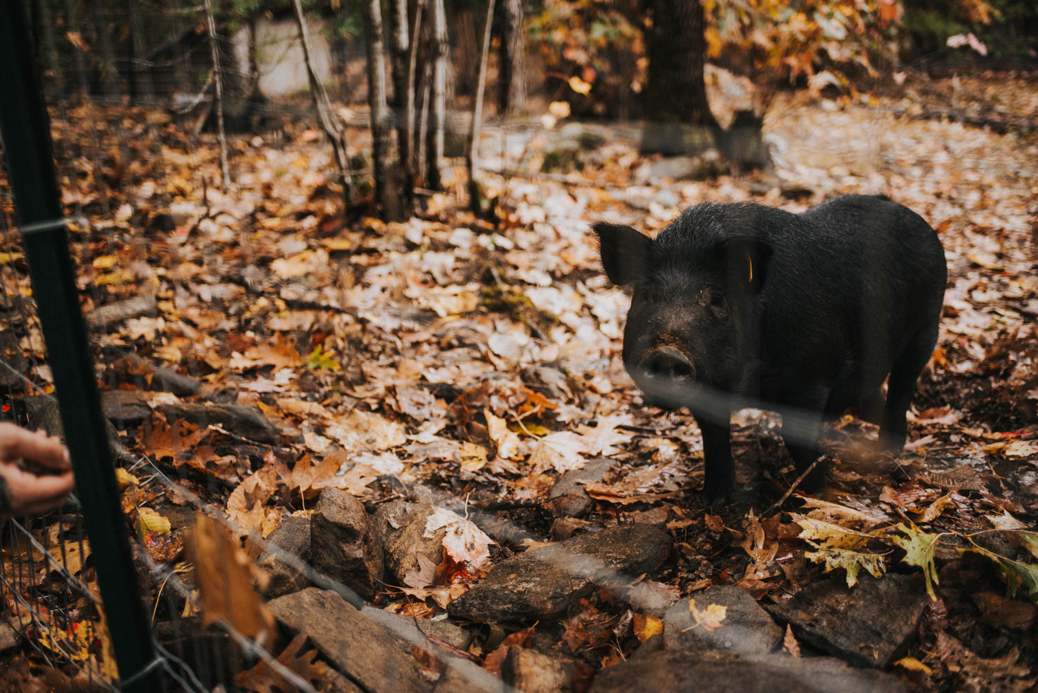 Credit: Cait Bourgault