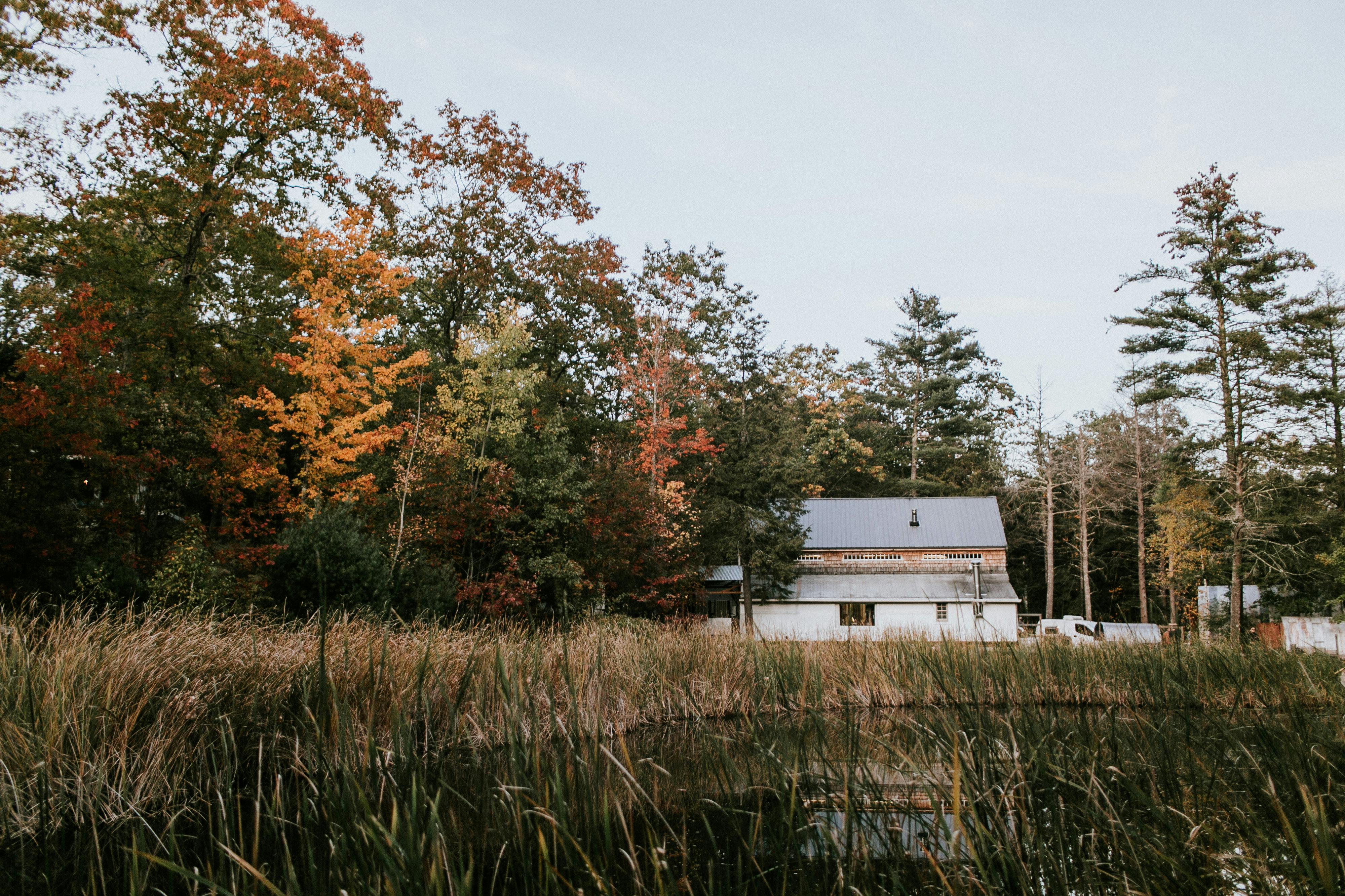 View More: http://emilydelamater.pass.us/oxbow2017 Credit: Matt Delamater