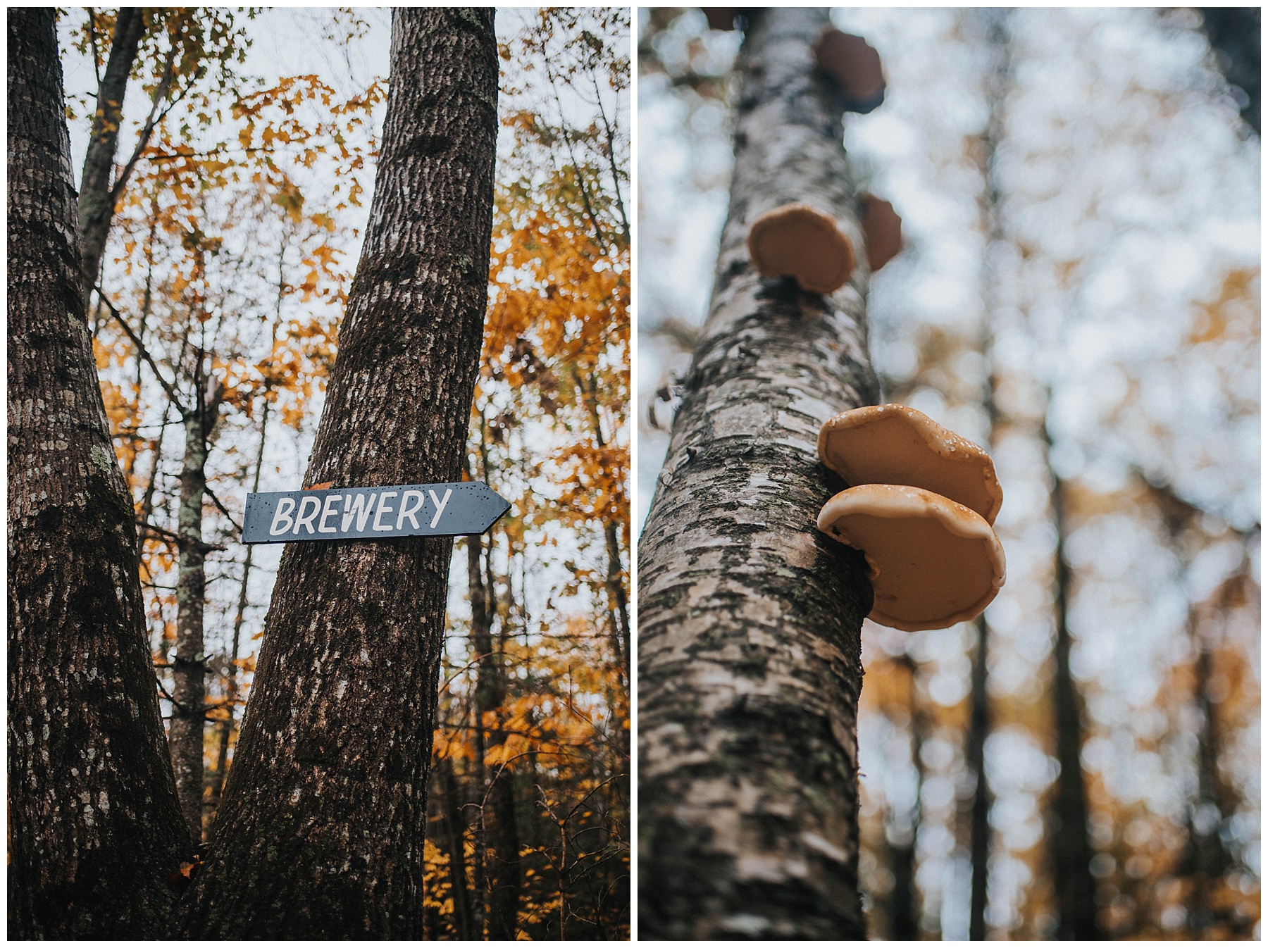 Credit: Cait Bourgault