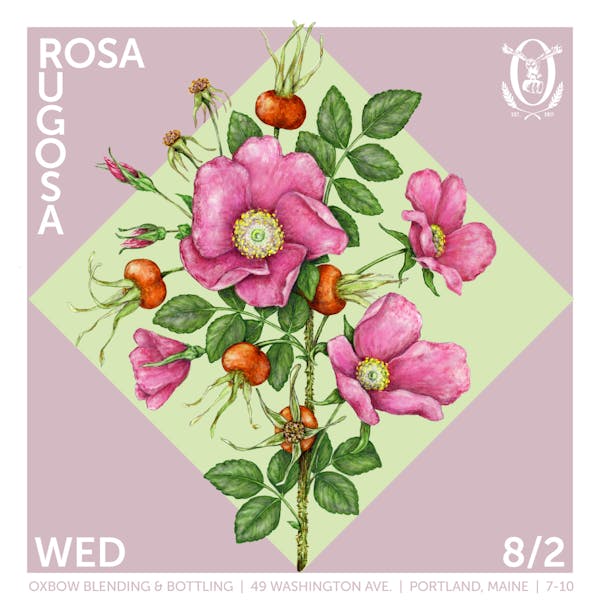 Rosa_Rugosa_08.02.23 Rosa_Rugosa_08.02.23