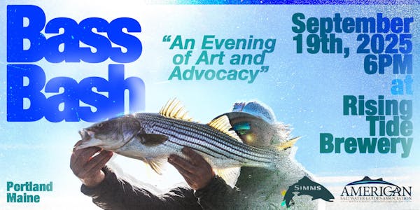 asga bass bash horizontal asga bass bash horizontal