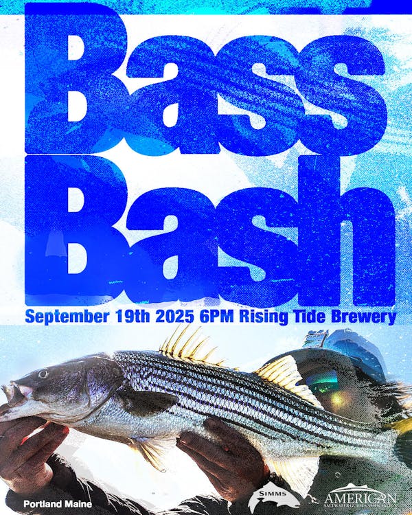 asga bass bash insta asga bass bash insta