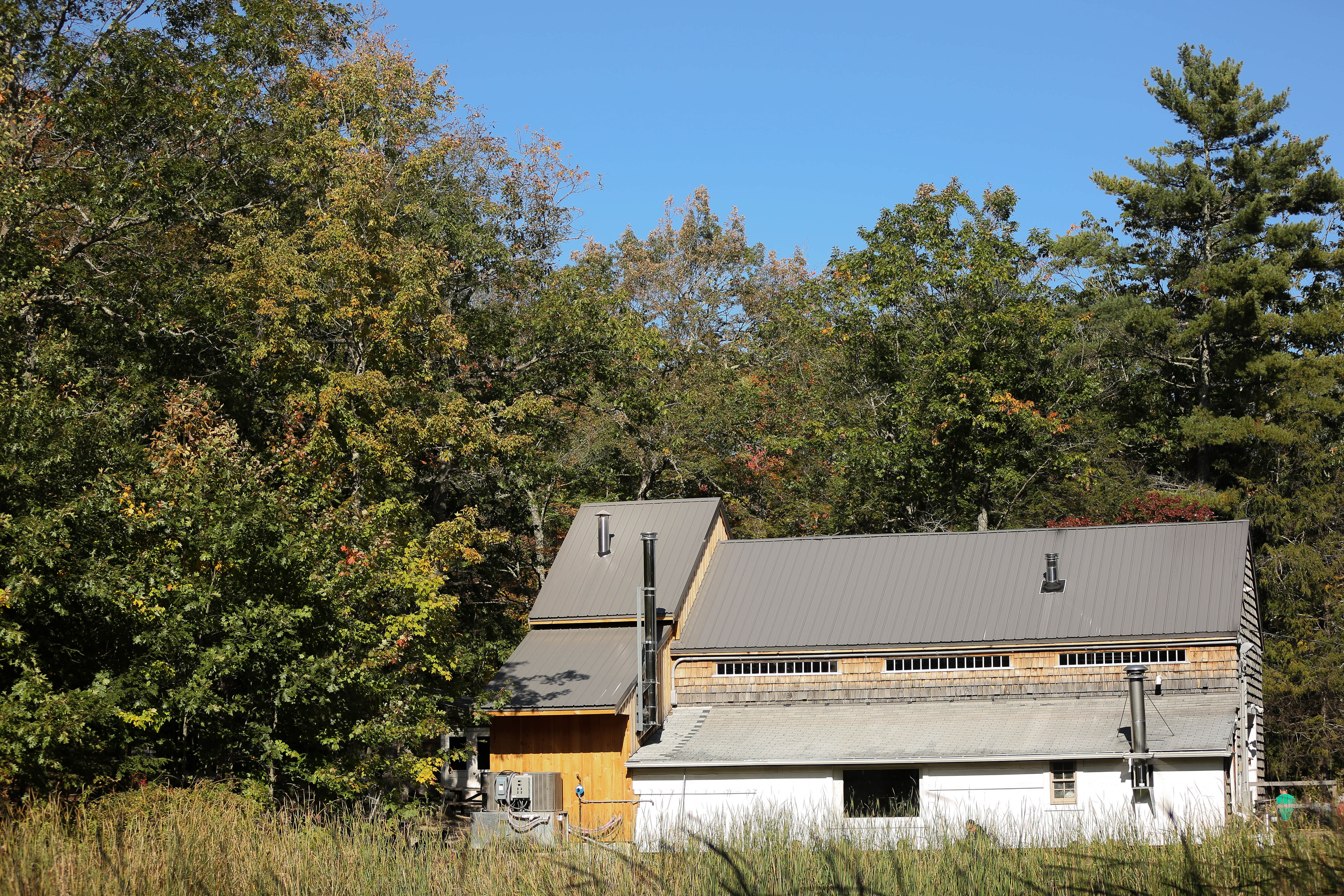 Credit: Brett Labelle