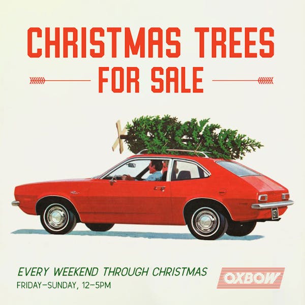 christmas_trees_for_sale_graphic