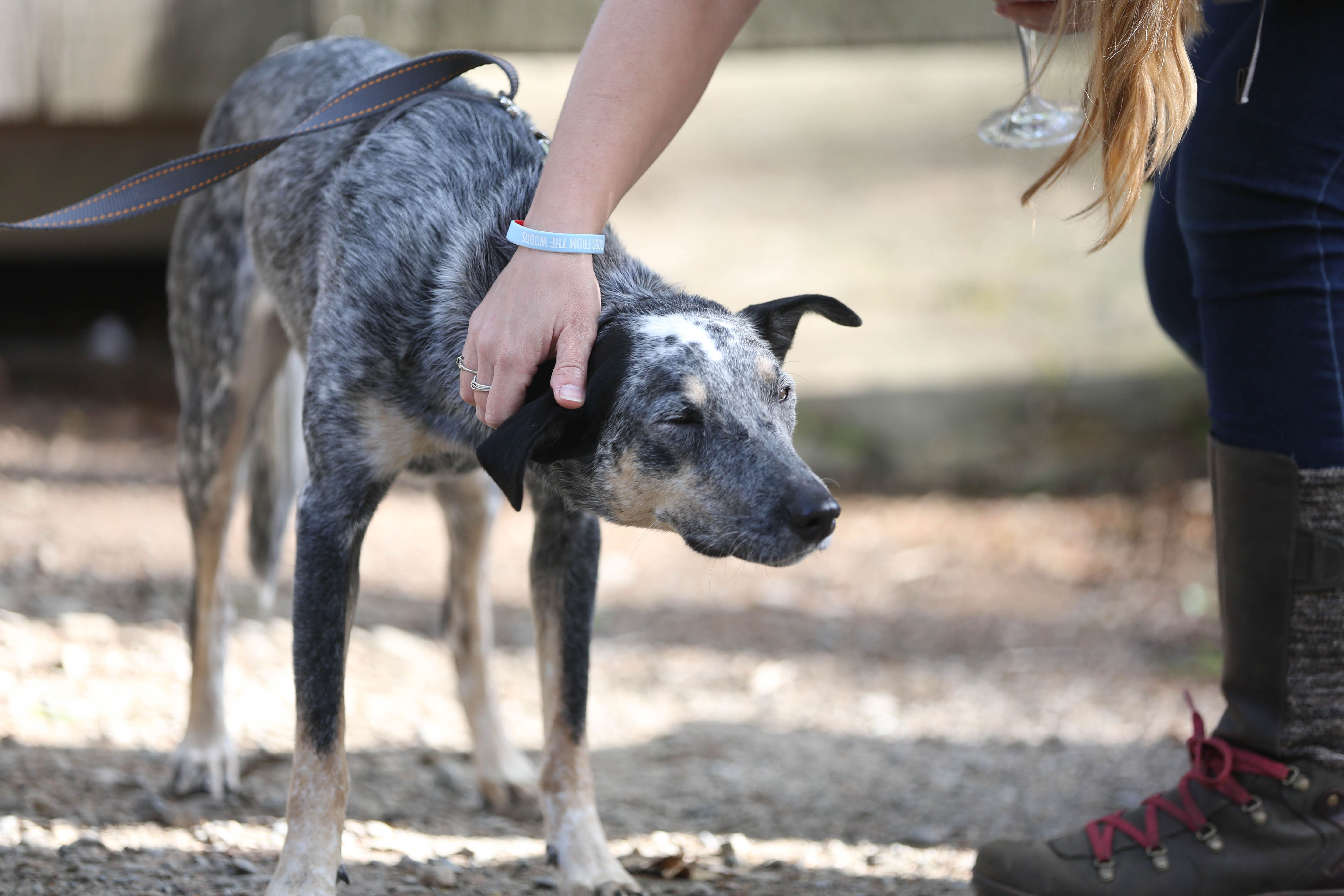 Credit: Brett Labelle