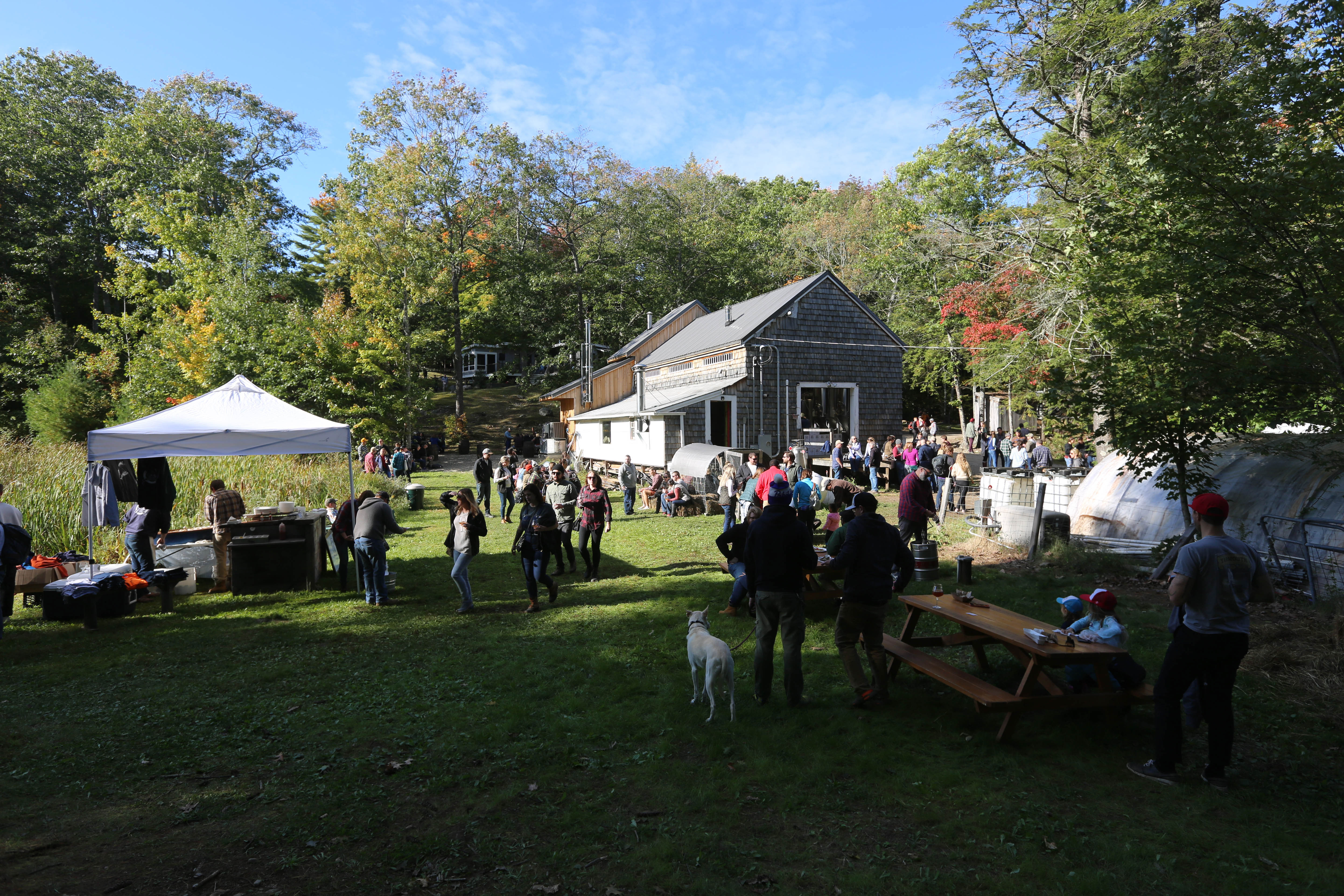 Credit: Brett Labelle