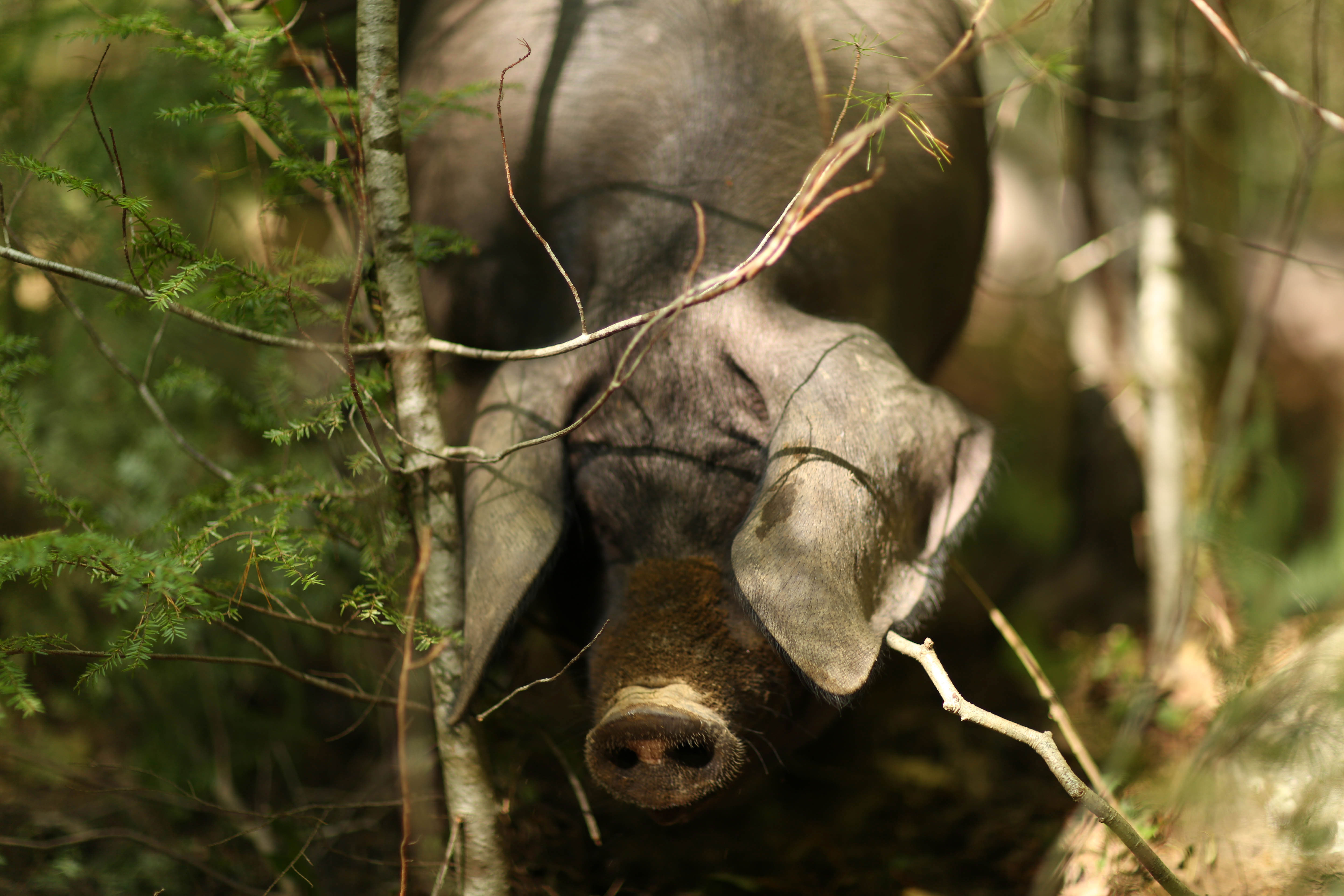 Credit: Brett Labelle