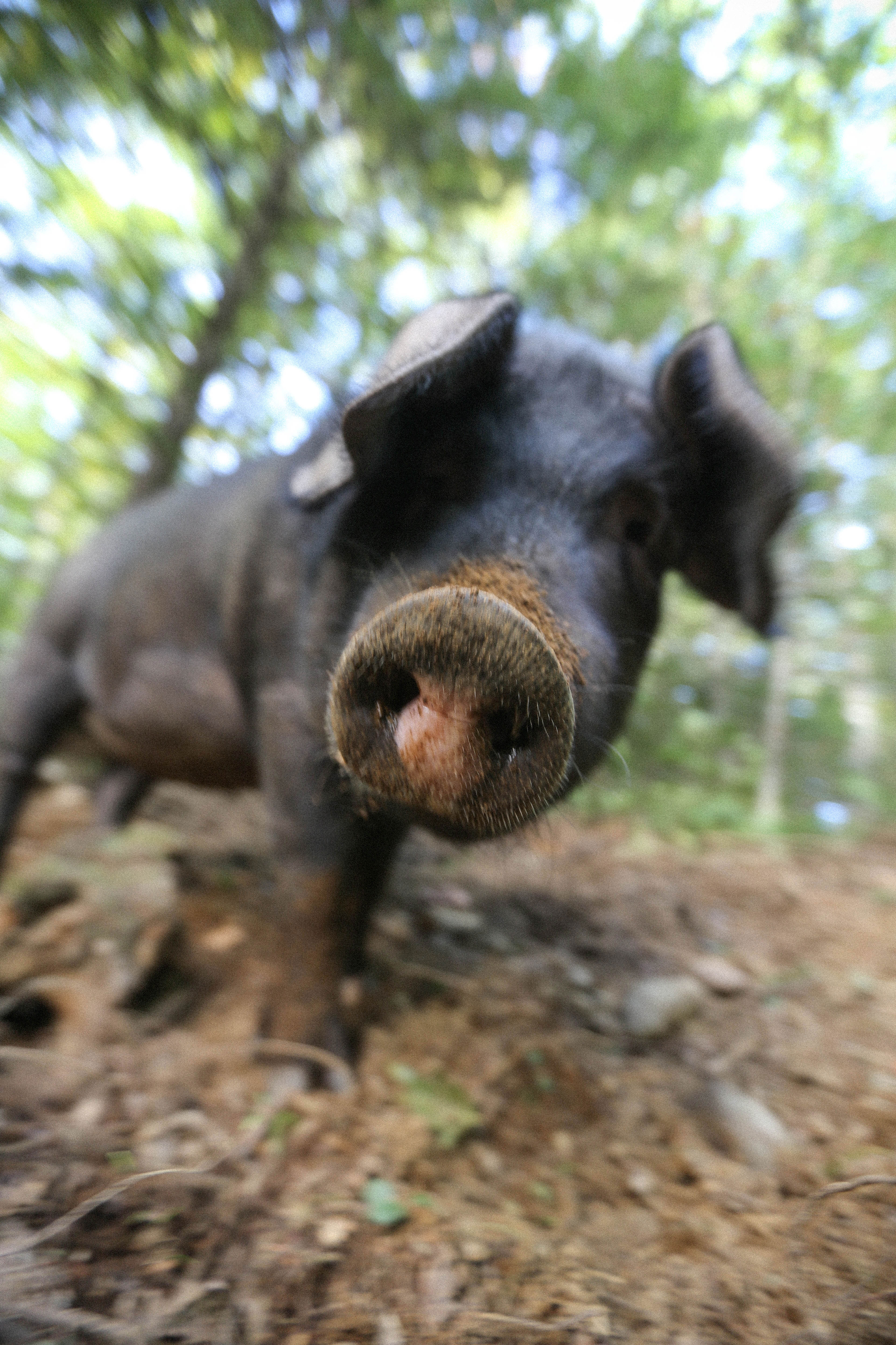 Credit: Brett Labelle