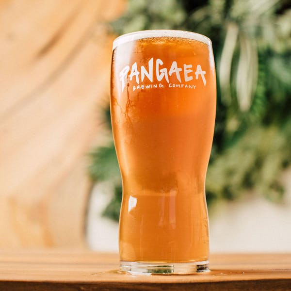 Hypnautic Our heavily dry hopped IPA. Loads of tropical and citrus forward hops with a light bittering profile and a smooth finish