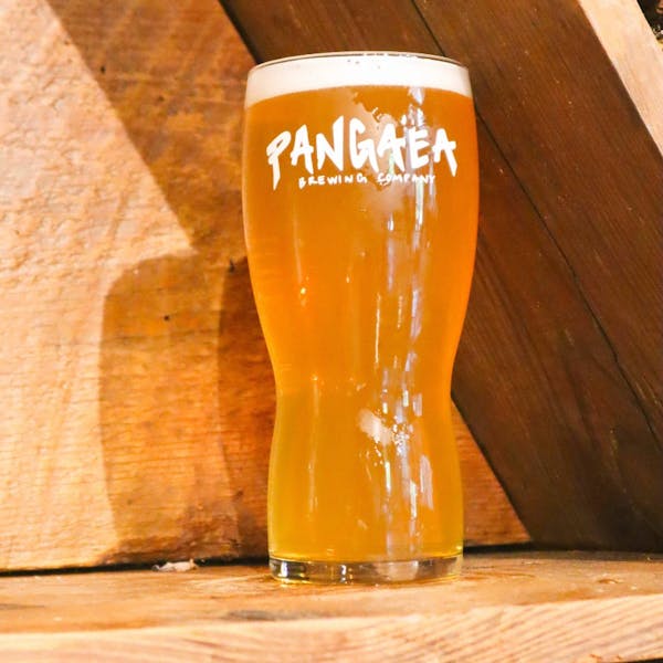 Skaal Y'all Scandinavian style lager brewed with kveik yeast from Norway and a splash of blood orange zest. This is a light and refreshing lager with a slight difference.
