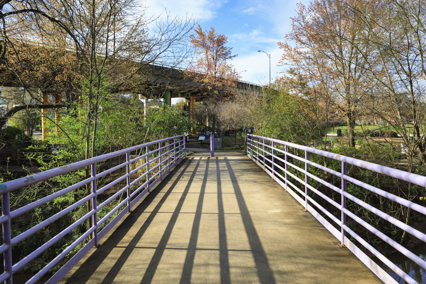 Photographer The swamp rabbit trail