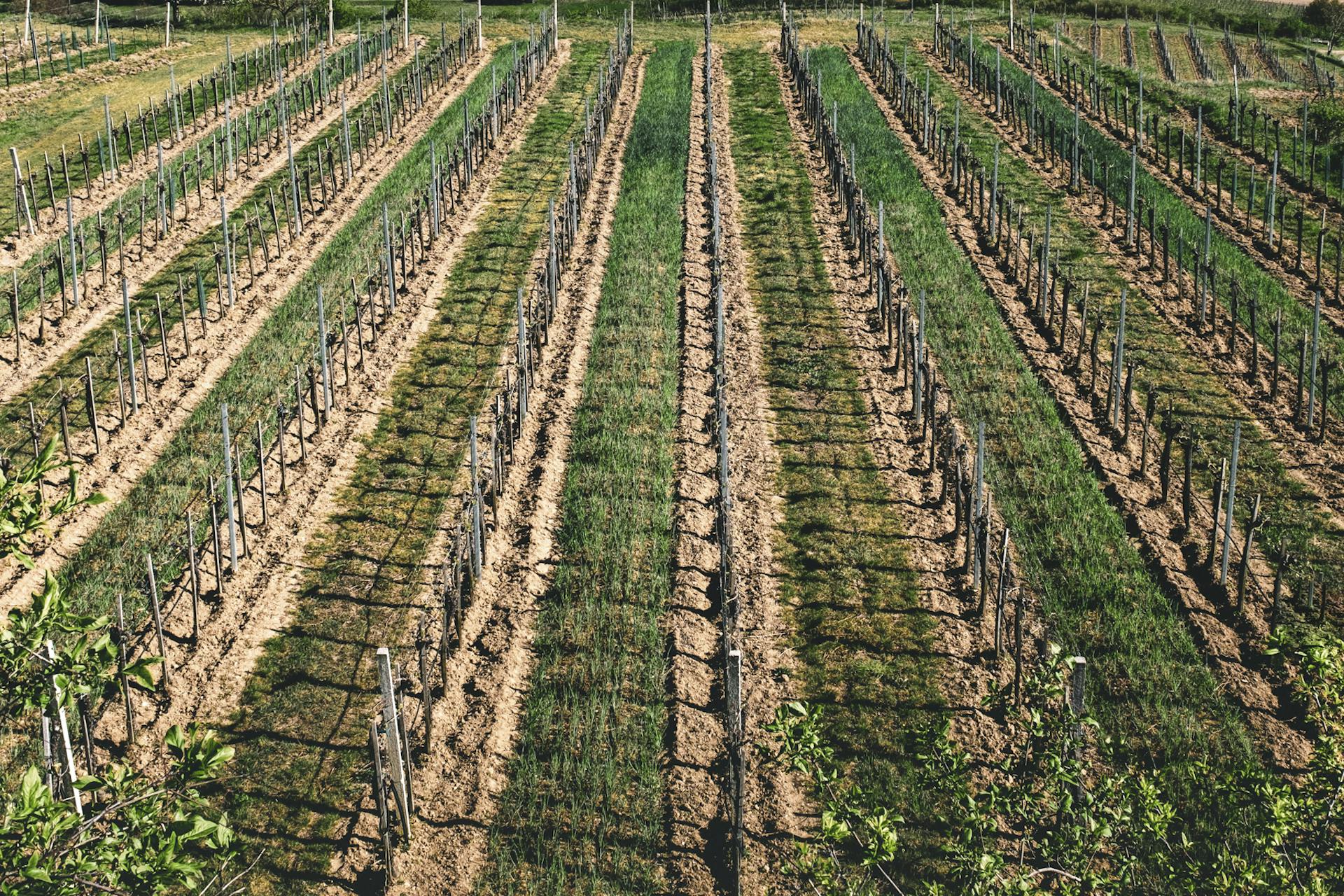 Photographer farms