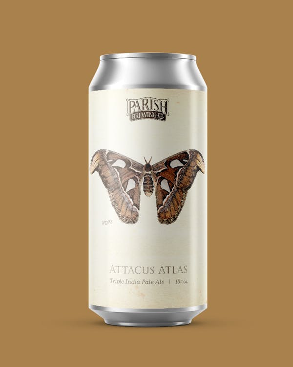 Image or graphic for Attacus Atlas
