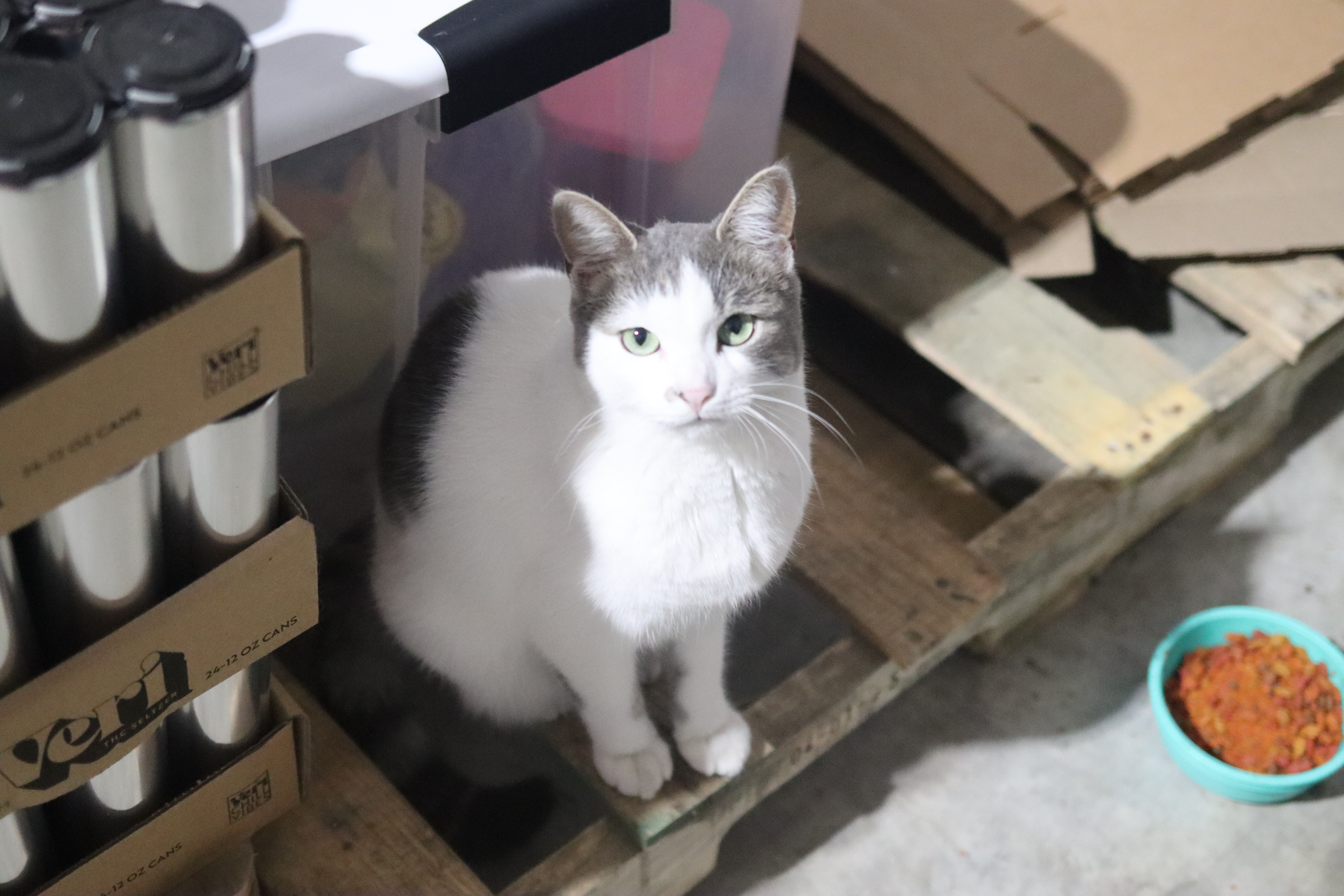 Alternate image for crew member Dirt Bag (aka D.B.)