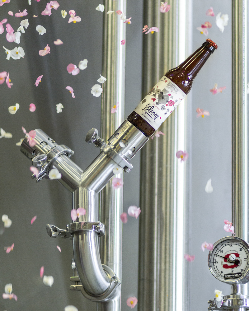 PARI-DDH Bloom Full Size