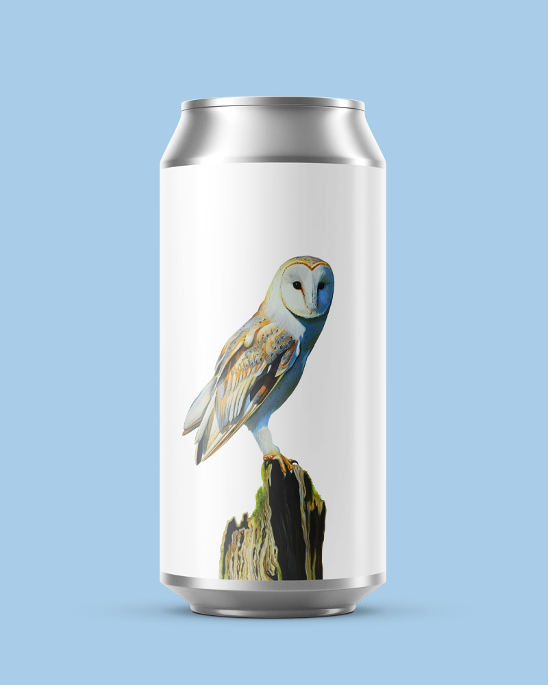 Image or graphic for Parliament of Owls