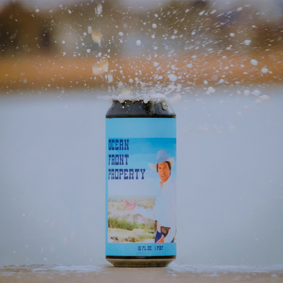 Image or graphic for Ocean Front Property